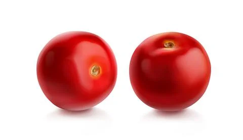 Tomato cherry, red tomatoes different view Stock Illustration