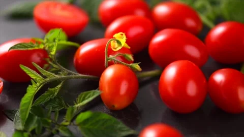 Tomato. Cherry tomatoes Fresh Ripe natural little tomatoes close-up.  Stock Footage 293744609