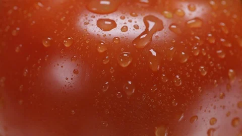 Tomato close-up. Stock Footage 122906384