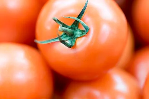 Tomato Close Up Foto stock