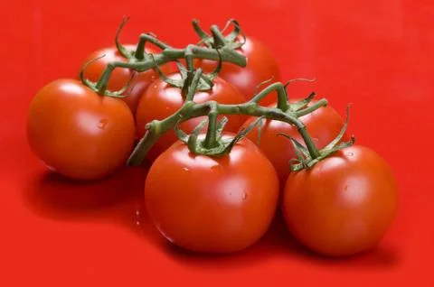 Tomato close up on red background Foto stock