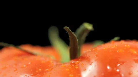 Tomato Closeup Stock Footage 8992449