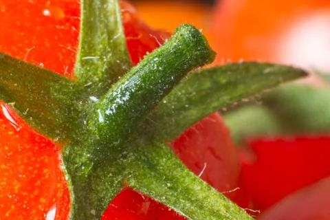 Tomato closeup Stock Photos
