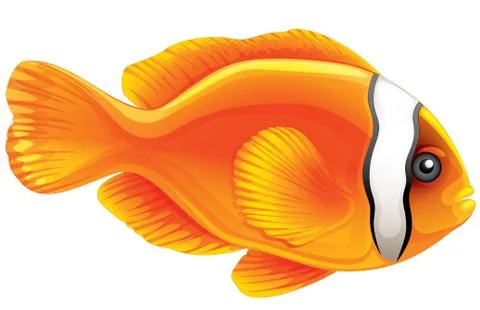 Tomato clownfish Stock Illustration
