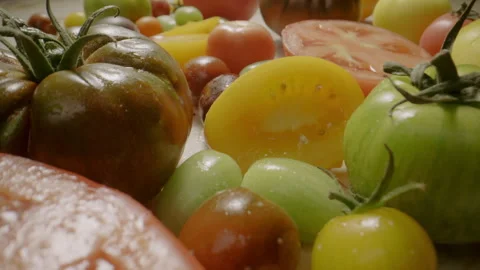 Tomato collection Stock Footage 282645504
