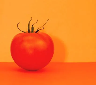 Tomato on a colored background Stock Photos