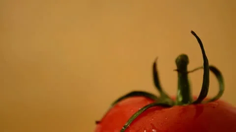Tomato - Crane Down Stock Footage 22338176