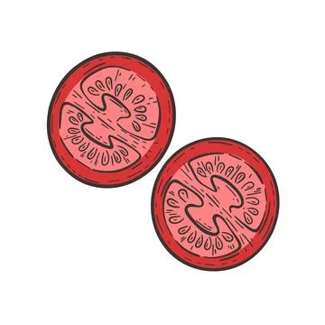 Tomato cut in half colored sketch Stock Illustration