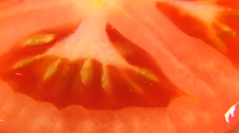 Tomato cut in half Stock Footage 68592234