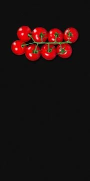 Tomato on dark backdrop Stock Photos