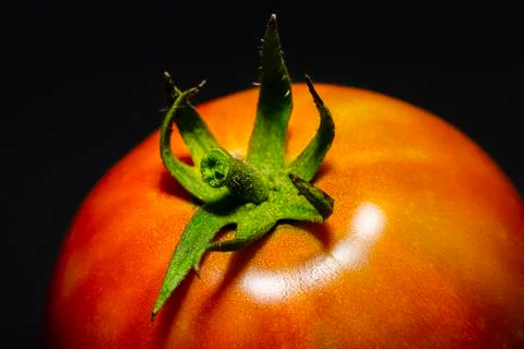 Tomato on dark background Stock Photos