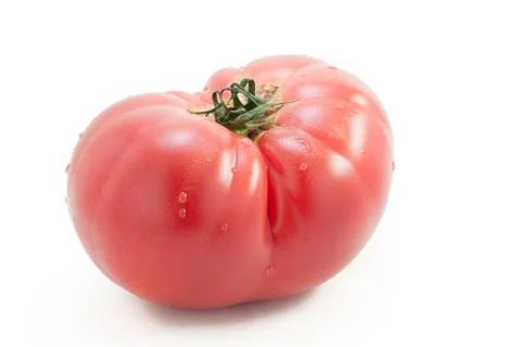 Tomato with dew Stock Photos