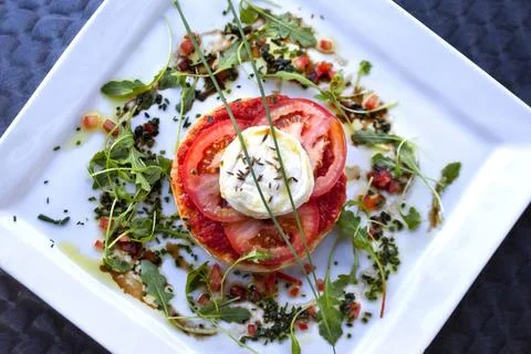 Tomato dish Stock-Fotos