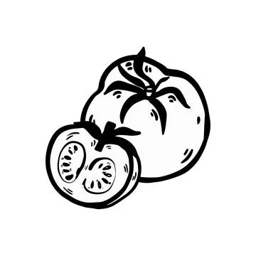 Tomato Doodle Illustation Stock Illustration