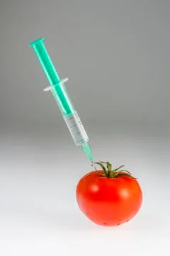 Tomato doping Stock Photos