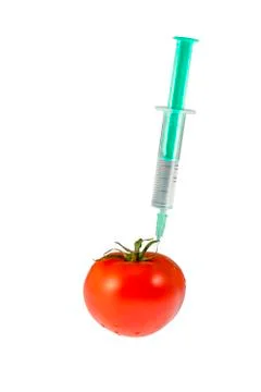 Tomato doping Stock Photos