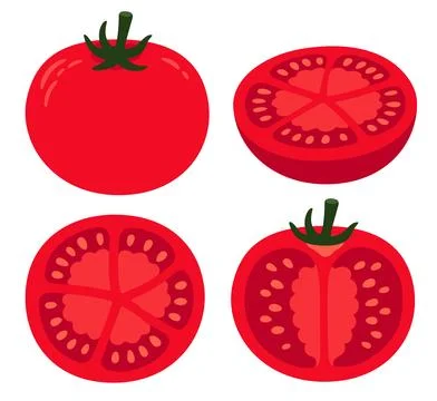 Tomato drawing set Stock Illustration