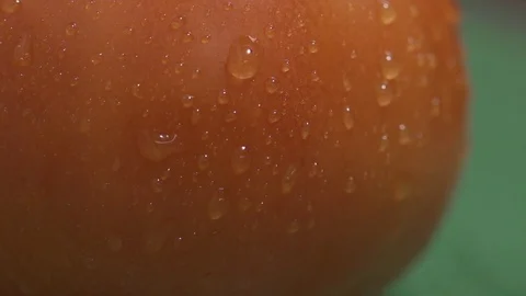 Tomato with drops of water dripping Stock Footage 128826662
