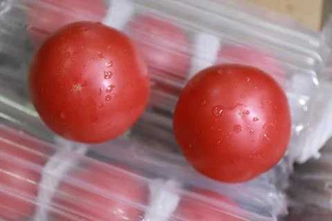 Tomato e-commerce logistics show photography photos Stock Photos