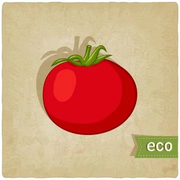 Tomato eco background Stock Illustration
