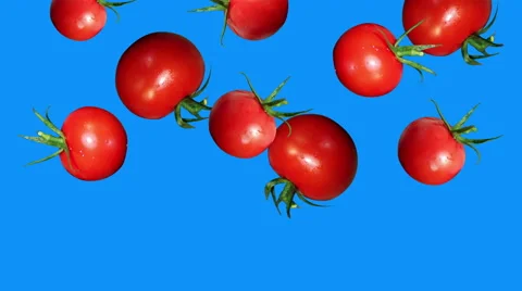 Tomato falling blue screen Video stock 62913940