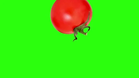 Tomato falling down and rotating on the green screen Stock Footage 273226068