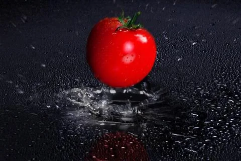 Tomato falling 스톡 사진