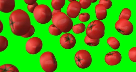 Tomato falling slow motion Stock Footage 88699069