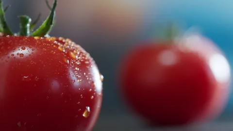 Tomato Falling in Super Slow Motion (1000fps) - Mesmerizing Fruit Impact Watch a Video stock 280038493