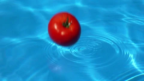 Tomato falls into water 動画素材 146627257