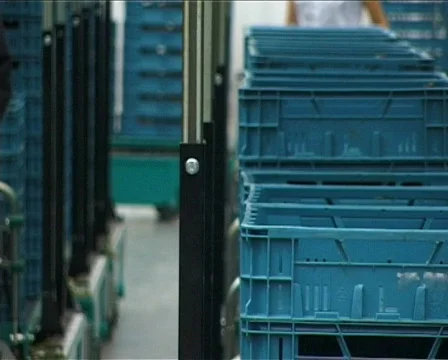 Tomato Farm Blue Boxes Video stock 590252