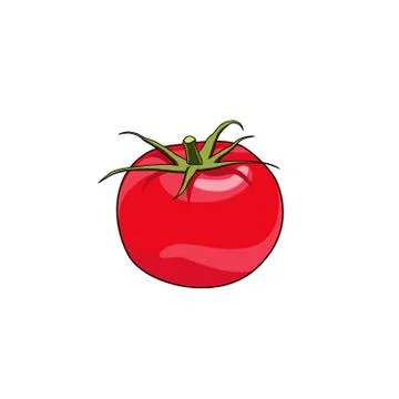 Tomato farm vegetable. Healthy raw vegetarian vegan food. Isolated vector Stock Illustration