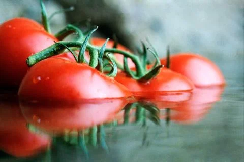 Tomato floating in water Stock Photos