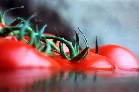 Tomato floating in water Stock Photos