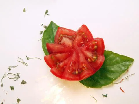 Tomato flower Stock Photos