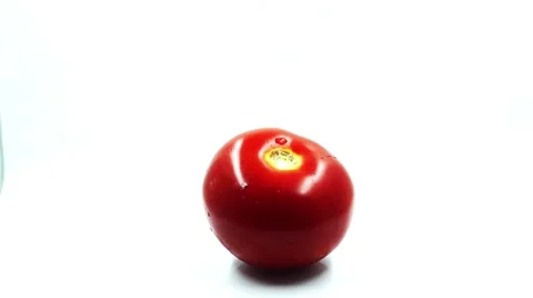 Tomato Stock Footage 63344949