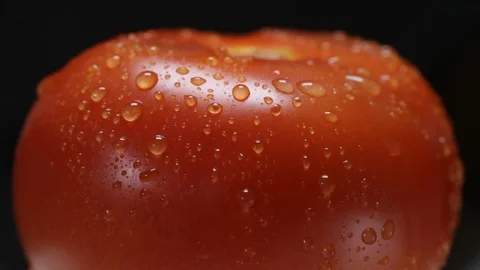 Tomato. Stock Footage 122906397