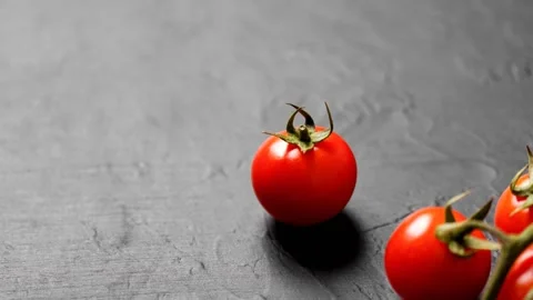 Tomato Stock Footage 151024999