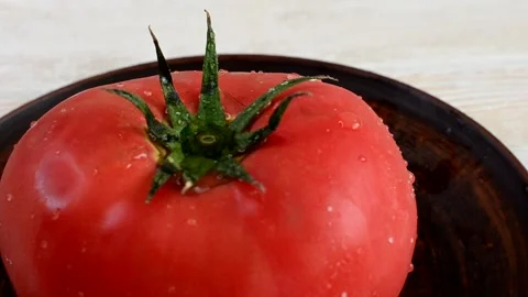 Tomato Stock Footage 155365733