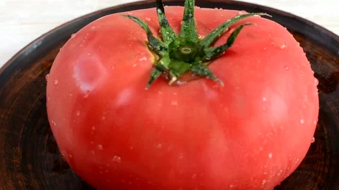 Tomato Stock Footage 155365741