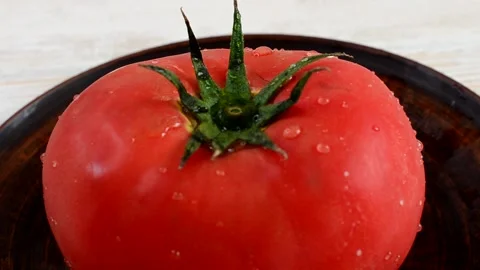 Tomato Stock Footage 155365775
