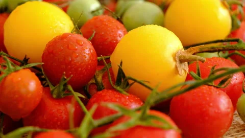 Tomato Stock-Footage 160203094