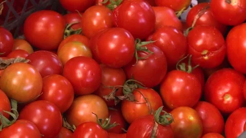 Tomato Video stock 160609599