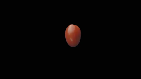 Tomato Stock Footage 234840455