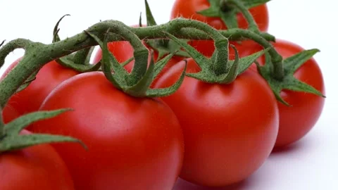 Tomato Video stock 292358988