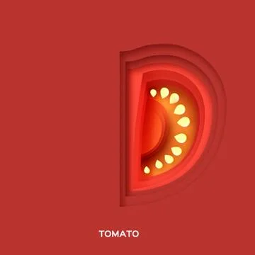 Tomato. Fresh slice on red background. Front view. Stock Illustration