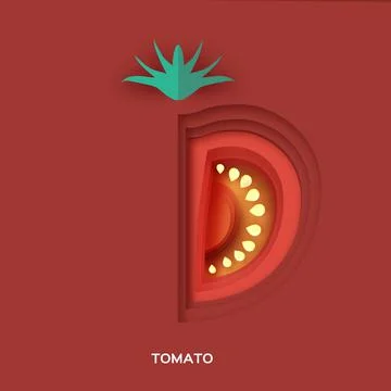 Tomato. Fresh slice on red background. Front view. Stock Illustration