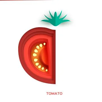 Tomato. Fresh slice on white background. Front view. Stock Illustration