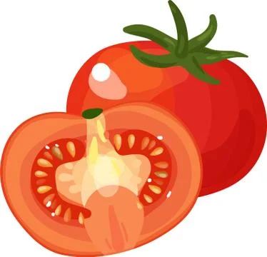 Tomato fresh vegetable vector concept. Single and half. Healthy diet flat style Stock Illustration