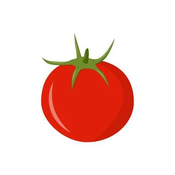 Tomato fresh vegetable vector isolate on white background healthy diet green Stock Illustration